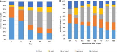 Effect of Sequential Inoculum of Beta-Glucosidase Positive and Probiotic Strains on Brine Fermentation to Obtain Low Salt Sicilian Table Olives